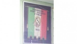 Bandiera del 1929 della FSSI (Federazione Sport Silenziosi d'Italia)