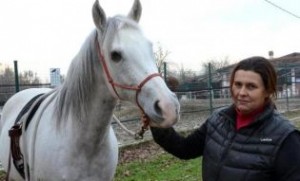 Il cavallo King con Erika Ricci
