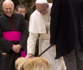 Papa Francesco con il cane guida Asià