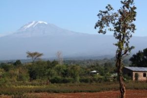 Il Kilimangiaro fotografato da Moshi in Tanzania
