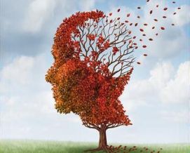 Immagine della locandina del convegno di Verona del 9 novembre 2013 sul tema "Alzheimer e territorio"