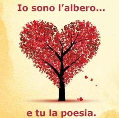 Copertina di "Io sono l'albero... e tu la poesia" di Laura Fiorentin