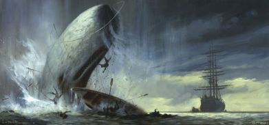 Disegno dedicato a "Moby Dick"