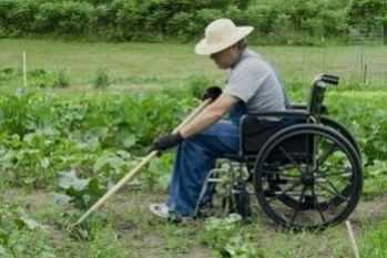 Persona con disabilità impegnata in un'impresa di agricoltura sociale