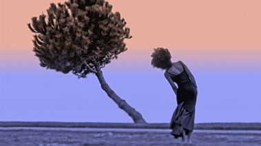 Donna e albero piegati: rappresentano la resilienza