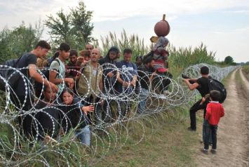 Il "muro" voluto dall'Ungheria al confine con la Serbia non ferma l'afflusso di migranti e profughi