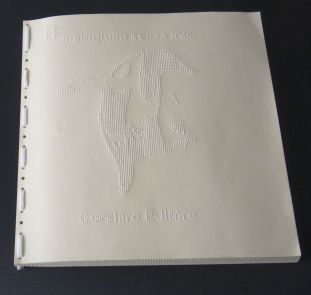 Copertina in braille del "Pinguino senza frac" di Silvio D'Arzo