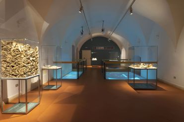 Museo Archeologico di Udine, "Mense e banchetti nella Udine rinascimentale", 2015-2016