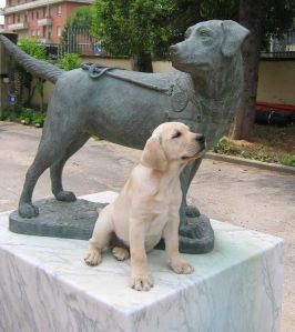 Monumento al cane guida di Scandicci (Firenze)