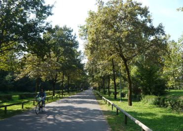 Pista ciclabile nel Parco Reale di Monza
