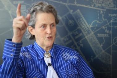 Temple Grandin docente