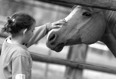 Bimba accarezza un cavallo, in un centro di attività assistita con gli animali