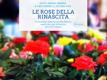ANGSA Umbria:: "Le rose della rinascita", maggio 2021