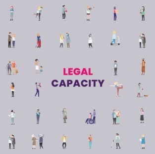 Realizzazione grafica dedicata alla "Legal Capacity" 