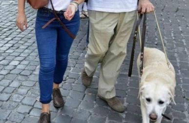 Particolare di persona cieca con cane guida e accompagnatrice