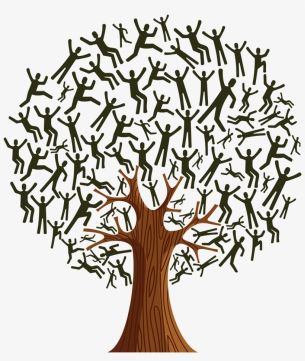 L'albero della diversità ("Tree Diversity")