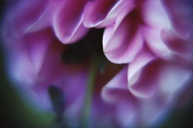 Fiore astratto in tonalità di lilla e viola