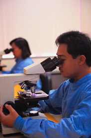 Ricercatore al lavoro con il microscopio