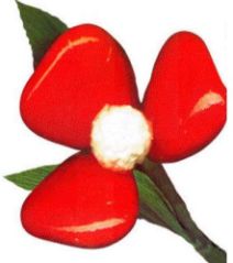 Il fiore rosso, simbolo della Giornata Mondiale dell'Atassia