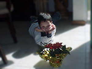 Un bambino, appoggiato a terra sui gomiti, guarda una pianta