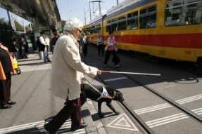 Persona cieca con cane guida, in mezzo a una strada