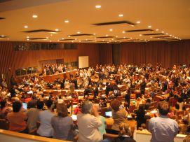 Il momento dell'approvazione della Convenzione ONU, il 25 agosto del 2006 (foto di Giuliano Giovinazzo) 