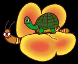 La leggera farfalla cerca di far volare la pesante tartaruga: è il logo dell'Associazione Sindrome di Crisponi e Malattie Rare che spera anche nel «volo della ricerca»