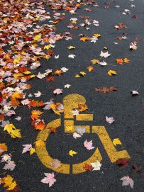 Simbolo sull'asfalto della disabilità coperto di foglie secche