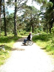 Persona con disabilità in vacanza in un bosco di monntagna