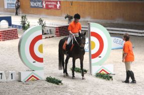 La Prova Didattica di equitazione per persone con disabilità, svoltasi a San Lazzaro di Savena (Bologna)