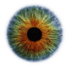 Immagine di un occhio, utilizzata nella locandina ufficiale del convegno di Palermo dell'11 novembre 2010