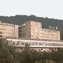Si svolgerà presso l'Ospedale Santa Maria del Carmine di Rovereto (Trento) il convegno sulla fibrodisplasia ossificante progressiva