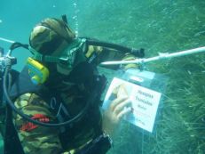 Sergio Cechet, subacqueo non vedente, effettua prove di lettura subacquea con tabella in braille (foto di HSA Italia)