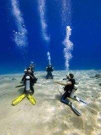 Subacquei in immersione nel Mar Rosso