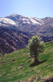 Monte Bocciarda in Val Sangone