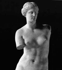Un particolare della celebre Venere di Milo, esposta al Louvre di Parigi