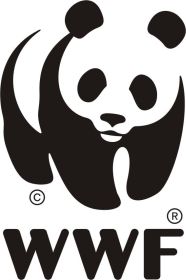 Il panda, simbolo del WWF