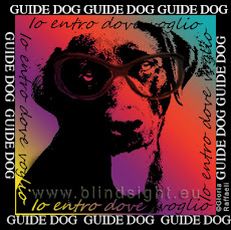 Manifesto Guide Dog di Blindsight Project