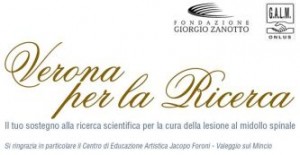 Locandine dell'evento del 16 novembre 2012 a Verona