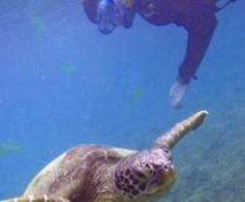Simone fanti sott'acqua, vicino a una tartaruga marina (foto di Beto Lima)