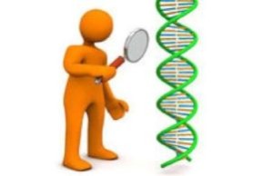 Disegno di omino che guarda il DNA con una lente
