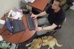 Una persona con disabilità visiva al lavoro con il computer