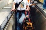 Era il 2015 quando un gruppo di persone con disabilità visiva si recarono a Belluno con i loro cani guida,  per protestare contro il blocco delle scale mobili. Ora la Sentenza definitiva della Suprema Corte: il Comune di Belluno e la Società Bellunum discriminarono