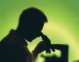 Immagine in controluce di ricercatore al microscopio, su sfondo verde