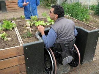 Persona con disabilità in carrozzina impegnata in attività di giardinaggio
