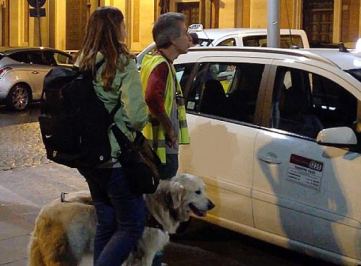 Persona non vedente sale in taxi con il suo cane guida