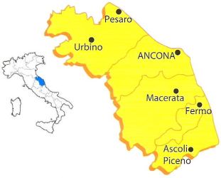 Marche e collocazione delle stesse in Italia