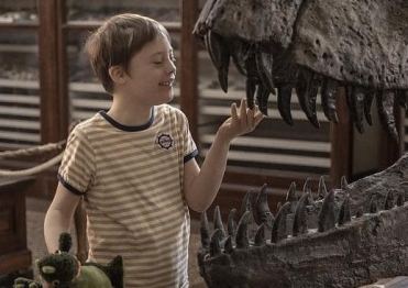 Scena dal film "Mio fratello rincorre i dinosauri"