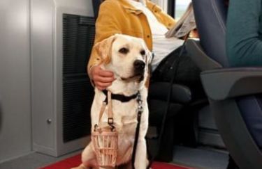 Cane guida in treno