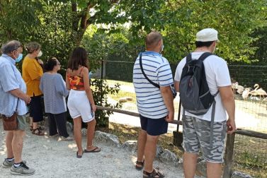 Persone dell'Associazione Ragazzi Oltre di Ancona al Parco Zoo Falconara, luglio 2020